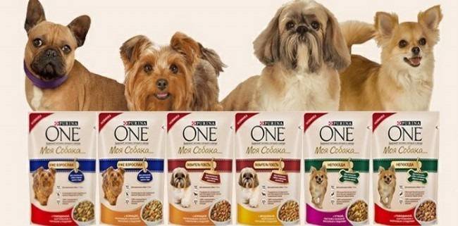 Якісний корм для собак Purina ONE