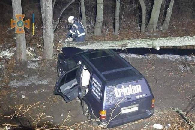 На Харківщині на авто з пасажирами впало дерево