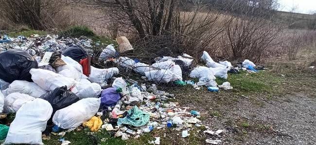 В селі Петрівське ліквідували стихійне звалище