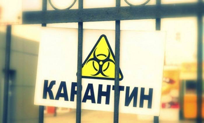 Что такое карантин?