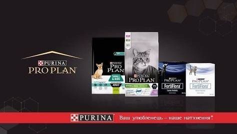 Чому більшість обирає корми Пуріна Про План: експертна дума від E-ZOO
