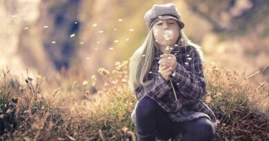 Как бороться с одуванчиками в саду