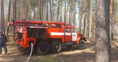 Рятівники ліквідували пожежу у хвойному лісі неподалік селища Андріївка
