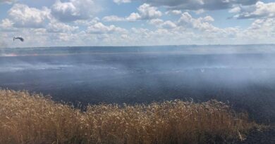 Окупанти свідомо обстрілюють поля зі стиглою пшеницею, внаслідок чого знищується урожай