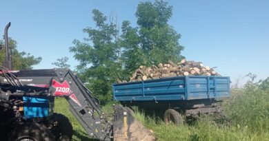 У селі Андріївка двоє чоловіків незаконно вирубали дерева