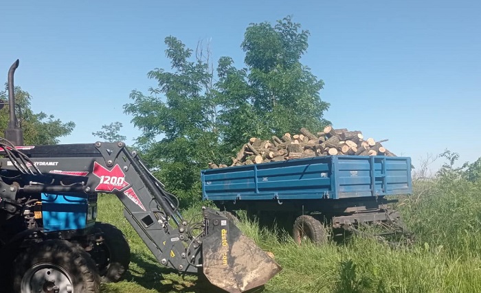У селі Андріївка двоє чоловіків незаконно вирубали дерева