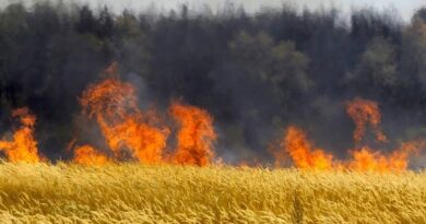 Поля урожаю, птахокомплекс, сміттєзвалища на Харківщині обстрілювала російська армія