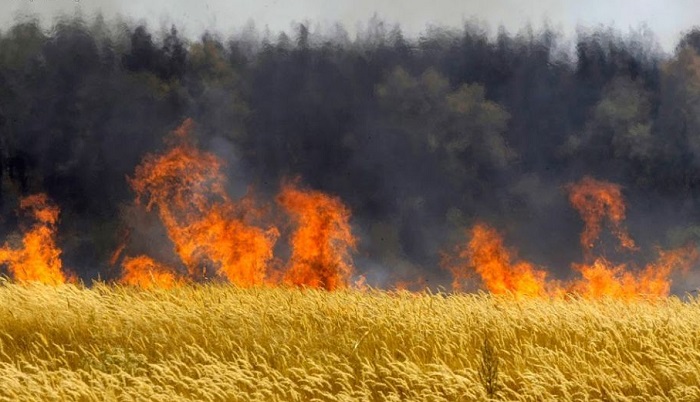 Поля урожаю, птахокомплекс, сміттєзвалища на Харківщині обстрілювала російська армія
