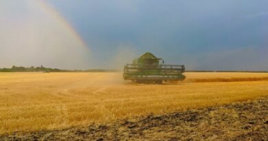 На Харківщині попри обстріли тривають жнива