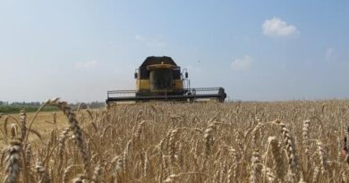 У Харківській області стартували жнива