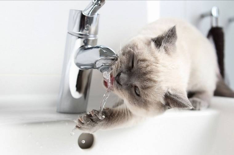 В Балаклее отключили воду: причины