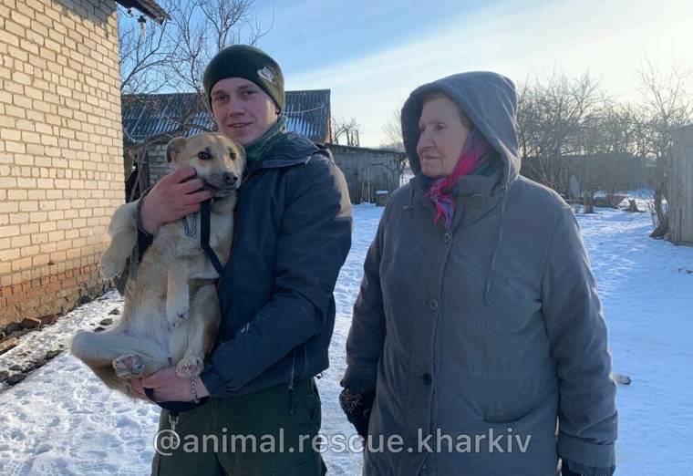 Харьковские волонтеры спасли козу и собак из приграничного села