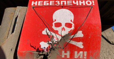 На Харківщині 7 підлітків підірвались на міні «Пелюстці»