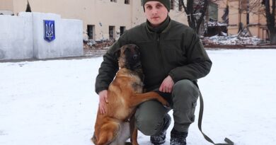 На Харківщині тренують трьох вівчарок для бригади ТРО