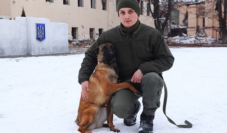 На Харківщині тренують трьох вівчарок для бригади ТРО