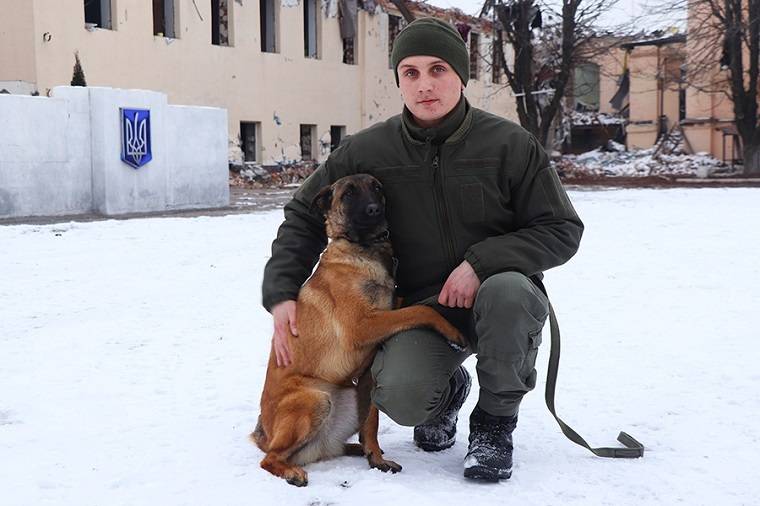 В Харьковской области тренируют трех овчарок для бригады ТРО