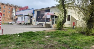 В Балаклії жінка підірвалась на міні «Пелюстка»