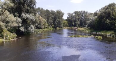 В Балаклійській громаді заборонили купатись в річках і водоймах