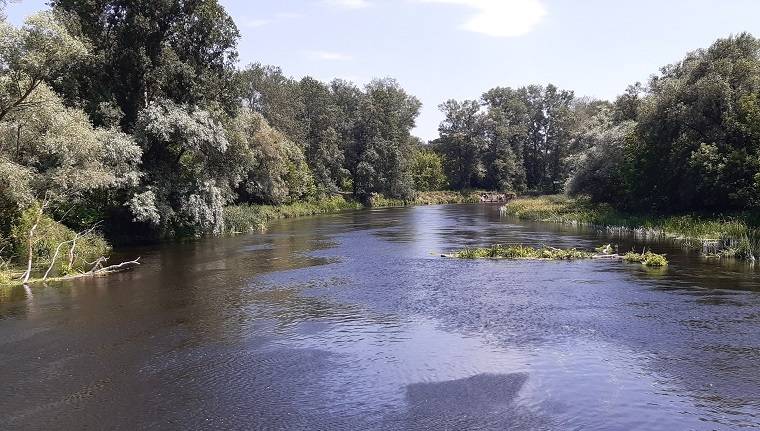 В Балаклейской громаде запретили купаться в реках и водоемах