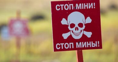 В Ізюмському районі чоловік підірвався на «Пелюстці»