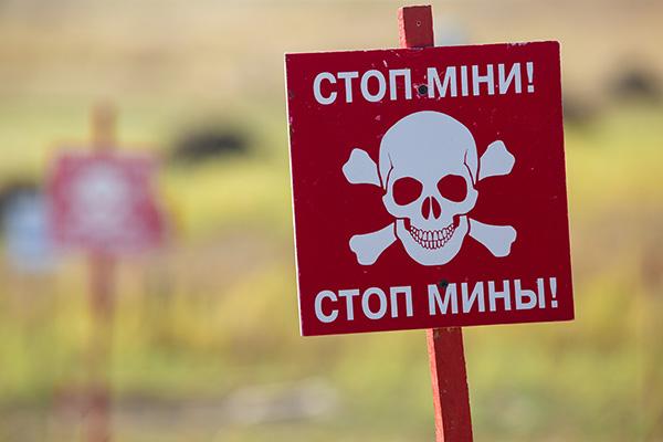 В Ізюмському районі чоловік підірвався на «Пелюстці»