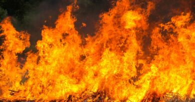 На Харківщині збільшилась кількість пожеж на відкритій місцевості