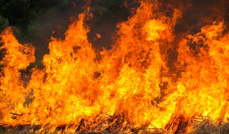 На Харківщині збільшилась кількість пожеж на відкритій місцевості