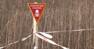 В Балаклії розмінували майже 105 гектар землі