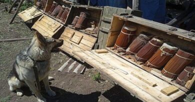 В Ізюмському районі кінологи виявили небезпечний порох