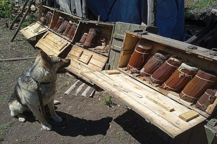В Изюмском районе кинологи обнаружили опасный порох