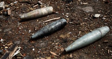 В Балаклійській громаді спалахнула пожежа: детонують снаряди