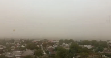 Пилова буря