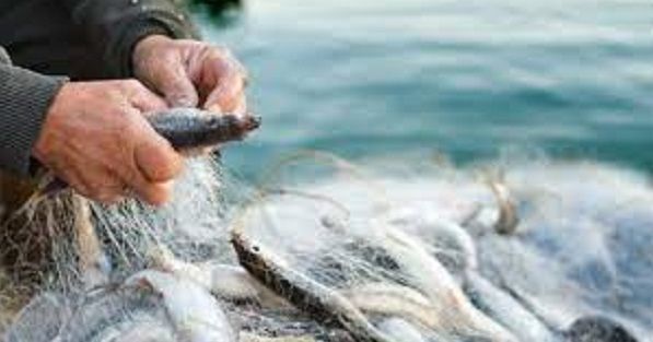 В Украине начали запрещать нерестовый лов рыбы