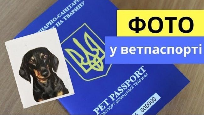 Термін підготовки домашніх тварин до виїзду за кордон?