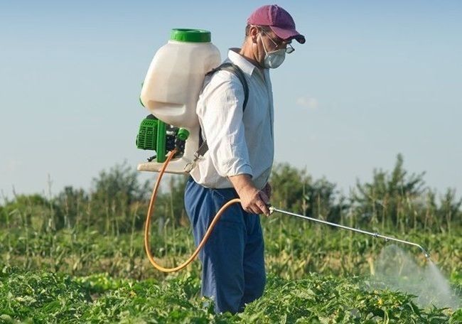 В Україні розробляють національний план із зменшення впливу пестицидів: мета – захист людей і довкілля