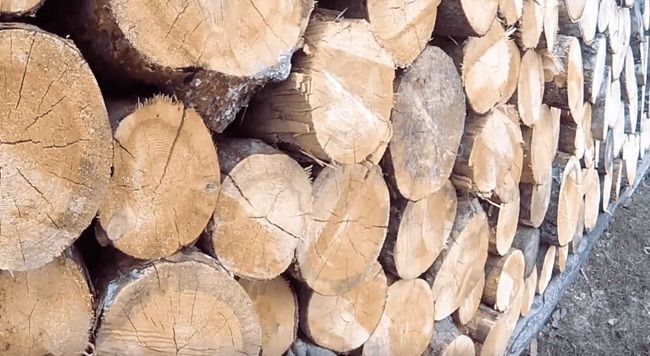 Субсидія на дрова 2025: хто отримає майже 20 тисяч гривень