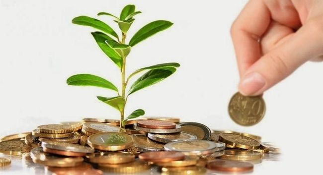 Куда вкладывать деньги после снижения ставки НБУ: депозиты или ОВГЗ