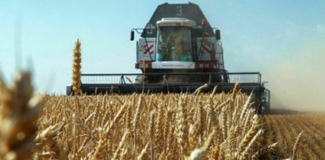 Себестоимость агропродукции в Украине может вырасти до 20% из-за топливного кризиса