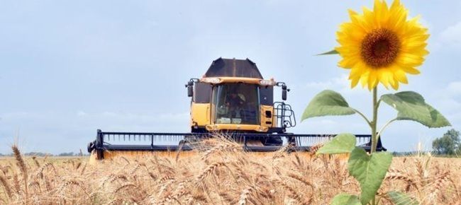 Интеграцию агросектора Украины в ЕС сдерживают инвестиции и кадровый дефицит — эксперт ЕБРР