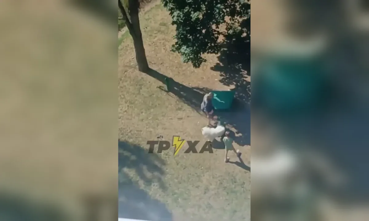 В Харкові жінка жорстоко побила собаку на очах у дитини: поліція розслідує інцидент