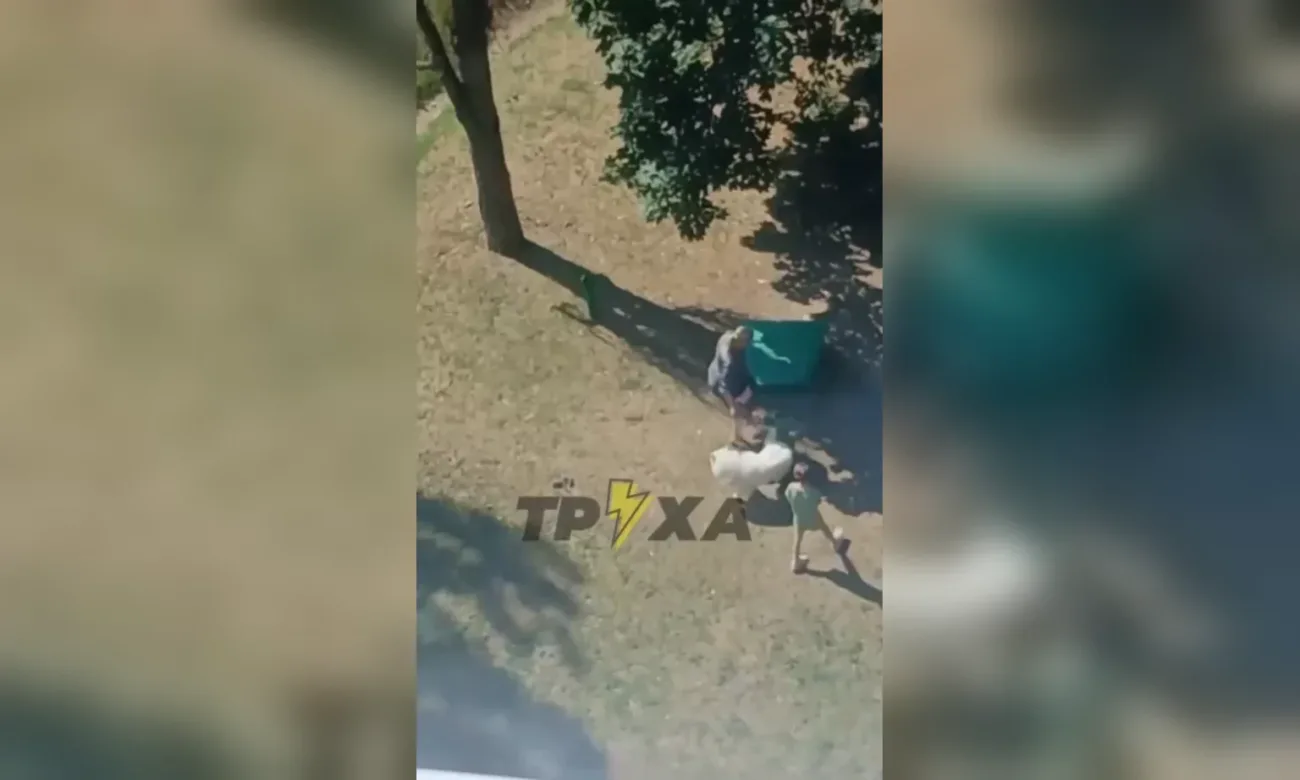 Била собаку ногами на очах у дитини: поліція проводить перевірку в Харкові
