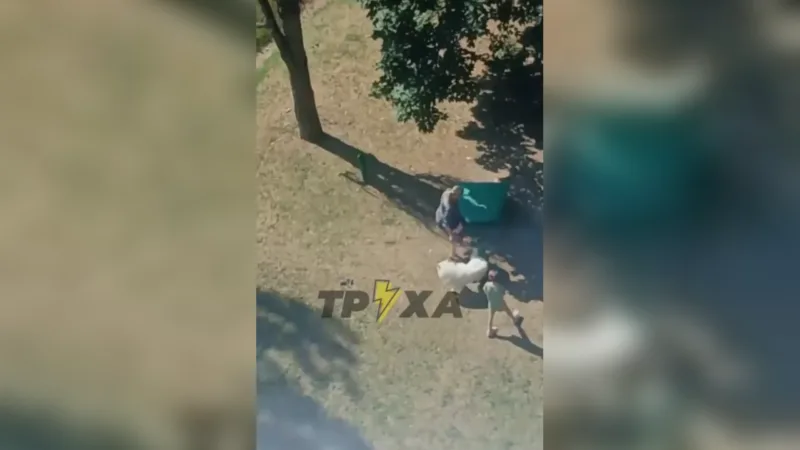 В Харкові жінка жорстоко побила собаку на очах у дитини: поліція розслідує інцидент