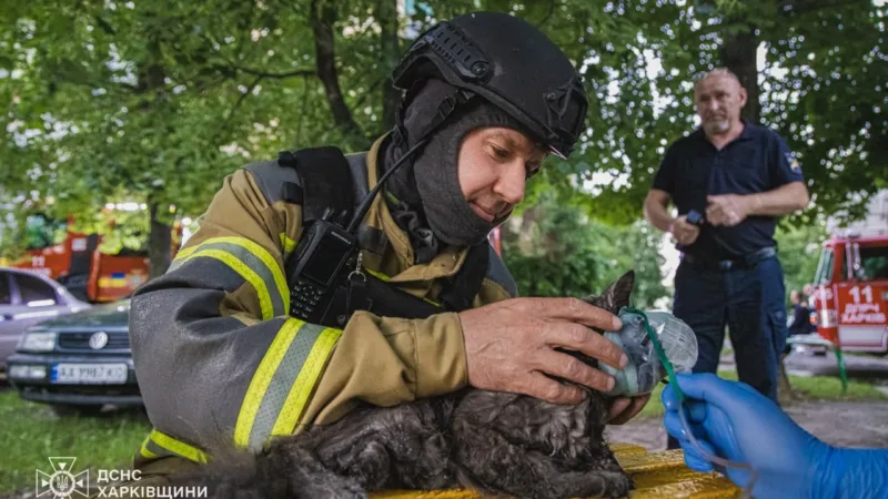 Пожар в Харькове: спасены двое людей и кот