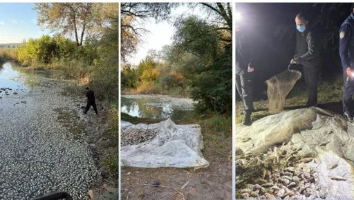На Харьковщине нашли массовую гибель рыбы, воду отправили на анализ
