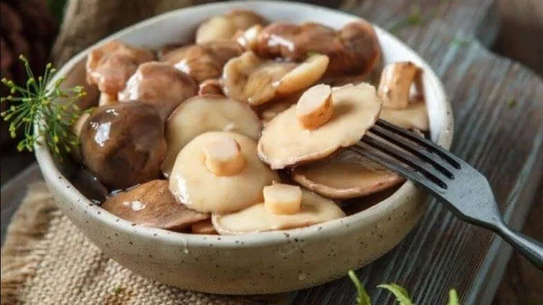 Як готувати гриби маслюки для супу, маринування та смаження